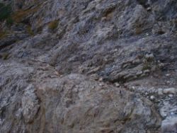 2013-10-26_Schildenstein (163).JPG